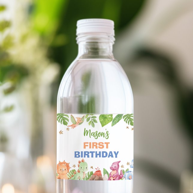 Jungle Dinosaur Boy Birthday Water Bottle Label (Creator Uploaded)