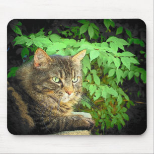 Jungle Dreams Mouse Pad