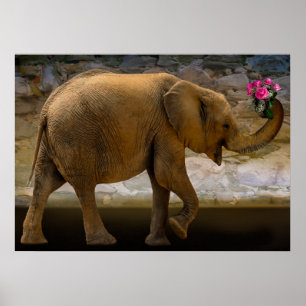 Jungle Elephant Holding Flowers Poster