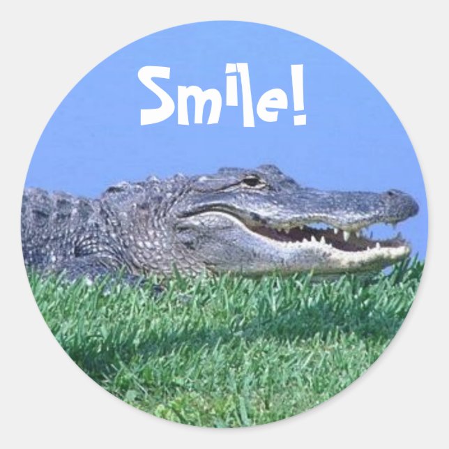 Jungle Jewels Stickers (Front)