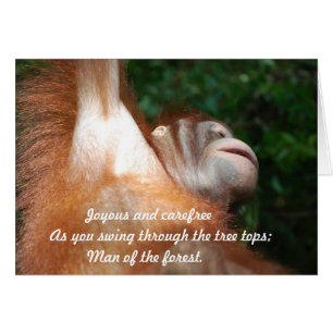 Jungle Joy -  Orangutan Tribute Wildlife Haiku