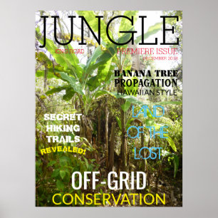 JUNGLE KING ROAD POSTER