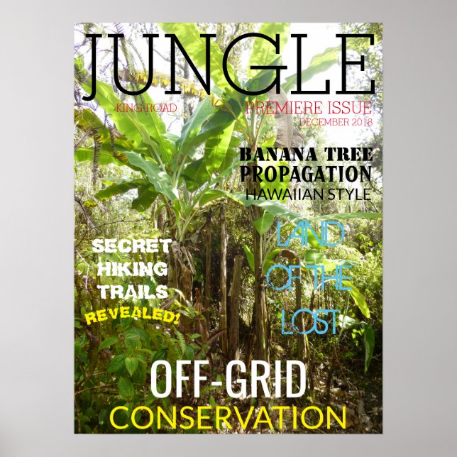 JUNGLE KING ROAD POSTER (Front)