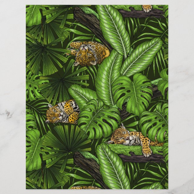 Jungle kitties (Front)