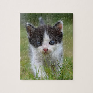 Jungle Kitty Jigsaw Puzzle