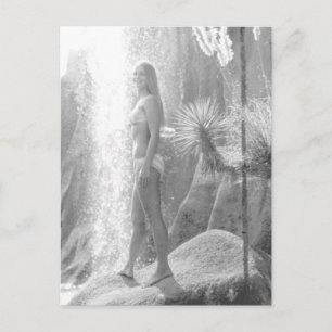 Jungle Land in Panama City Bikini girl photo Postcard