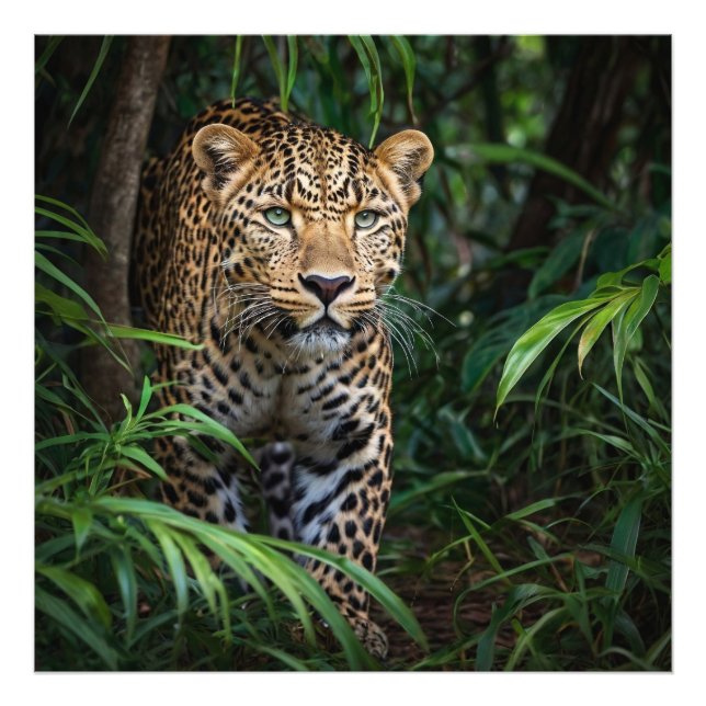 Jungle Leopard  Photo Print (Front)