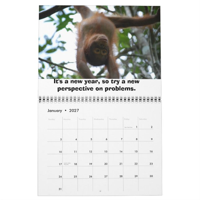 Jungle Lessons wildlife calendar (Jan 2027)