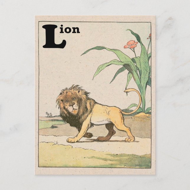 Jungle Lion Alphabet Animal Postcard (Front)