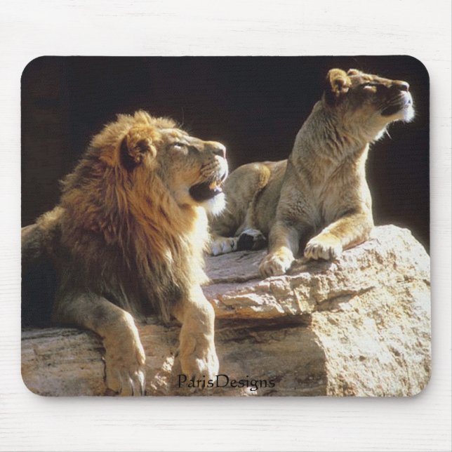 Jungle Lions Kenya Mouse Pad (Front)