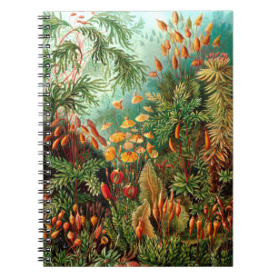 Jungle Notebook