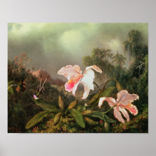 Jungle orchids and hummingbirds, 1872 poster