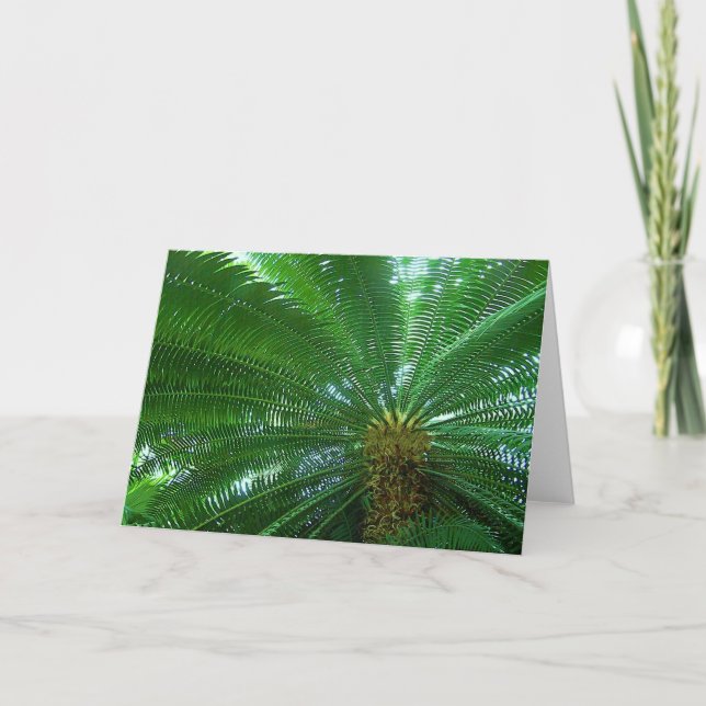Jungle Palm Greeting Card (Front)