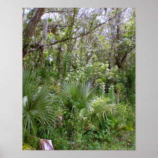 Jungle Poster