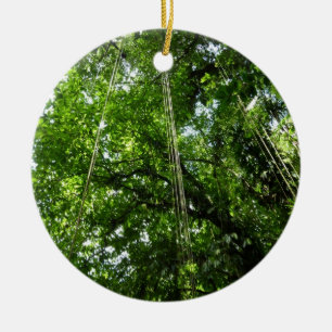 Jungle Ropes Rainforest Photography Ceramic Ornament