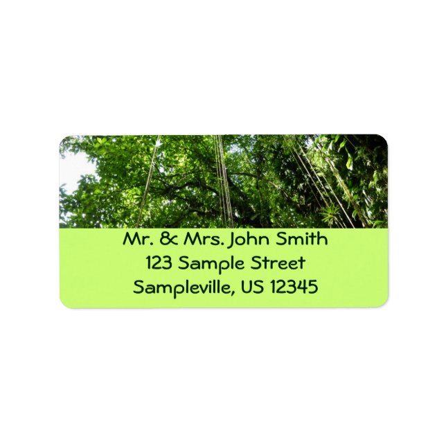 Jungle Ropes Rainforest Photography Label (Front)