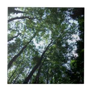 Jungle Small (4.25" x 4.25") Ceramic Photo Tile