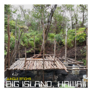 JUNGLE STICKS BIG ISLAND HAWAII POSTER