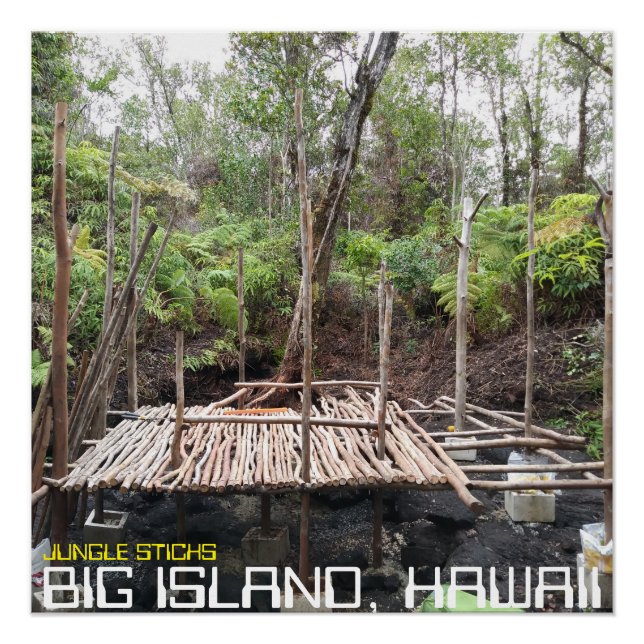JUNGLE STICKS BIG ISLAND HAWAII POSTER (Front)
