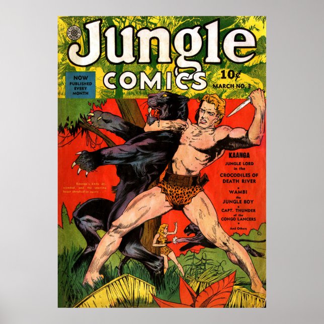 Jungle Tarzan & Black Panther Vintage Comics  Poster (Front)