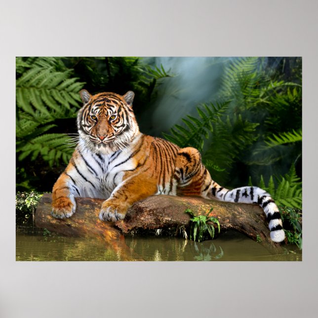 JUNGLE TIGER POSTER (Front)