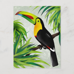 Jungle Toucan Postcard