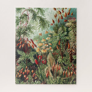 Jungle Wilderness Puzzle