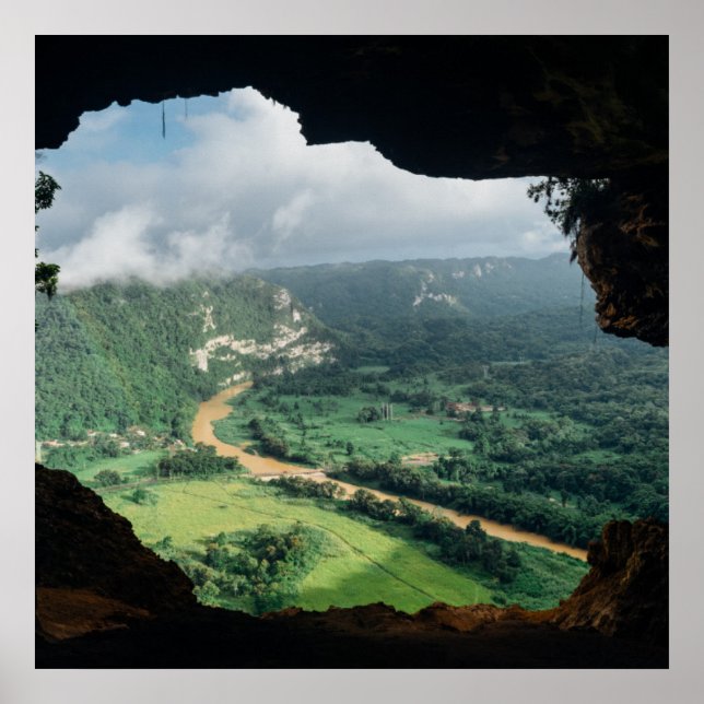 Jungle window poster (Front)