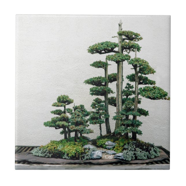 Juniper Bonsai Forest Tile (Front)