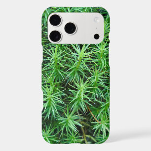 Juniper Hair Cap Moss
