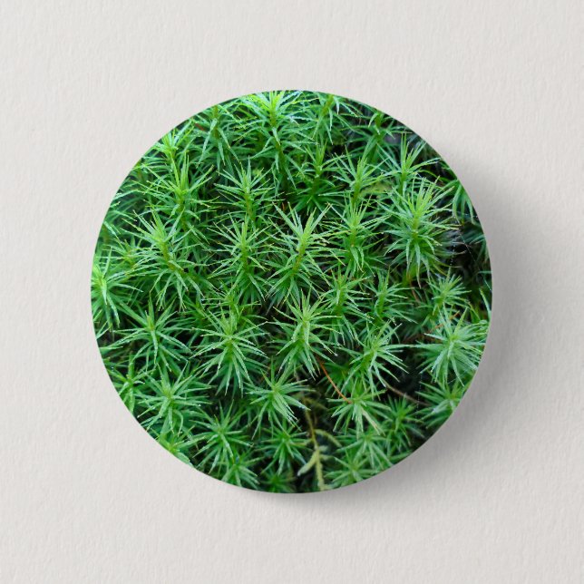 Juniper Hair Cap Moss Badge (Front)