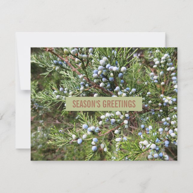 Juniper landscaping business holiday card (Front)
