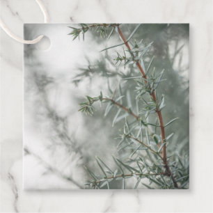 Juniper Nature Photo Favour Tags