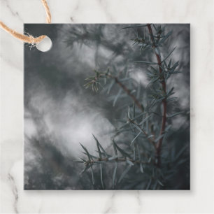 Juniper Nature Photo Favour Tags