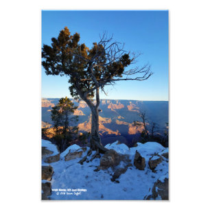 Juniper Tree In Snow At Sunrise In Grand Canyon Photo Print