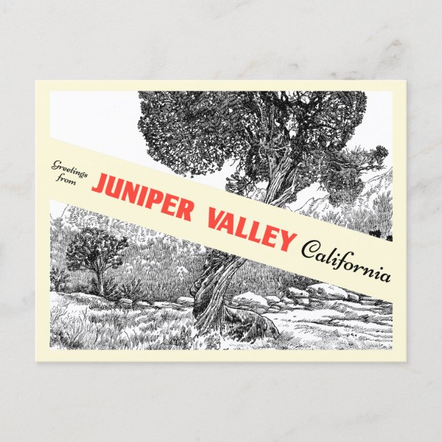 Juniper Valley Gift Shop Postcard (Front)