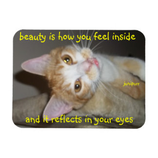 junipurr beauty magnet