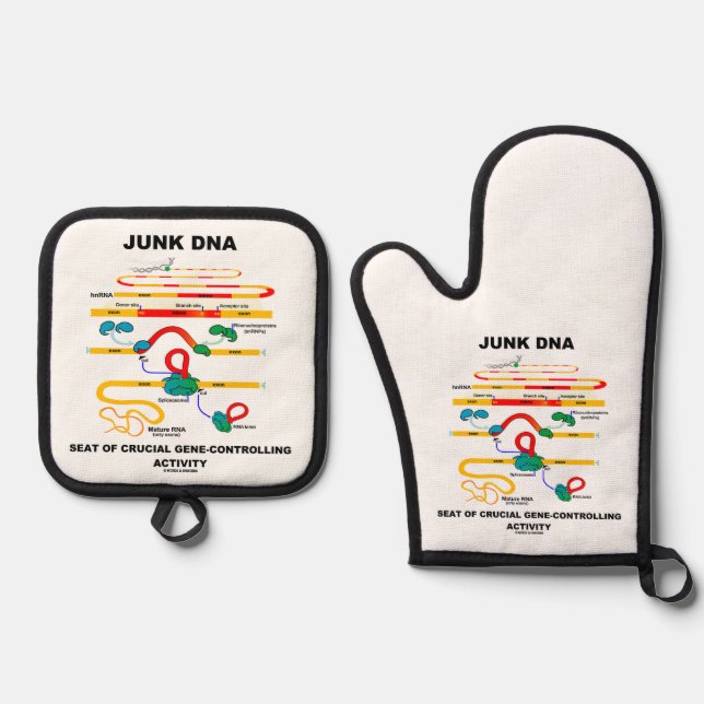 Junk DNA Seat Of Crucial Gene-Controlling Activity Oven Mitt & Pot Holder Set (Front)