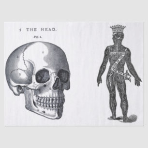 Junk Journal Anatomy Elements Sheet