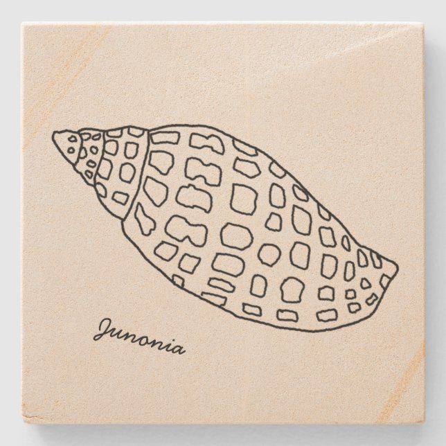 Junonia Seashell Drawing Tropical Stone Coaster (Front)