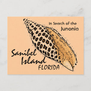 Junonia shell Sanibel Island humour postcard