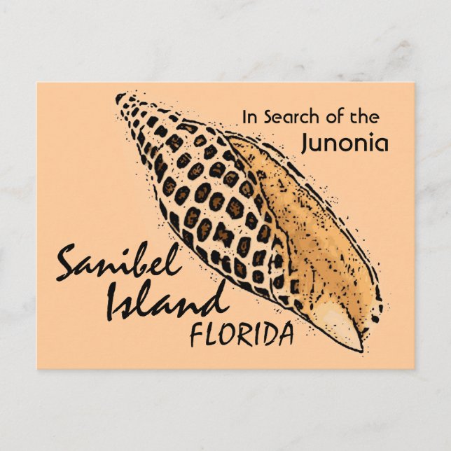 Junonia shell Sanibel Island humour postcard (Front)