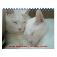 Jupiter and Kona's 2011-2012 Kitty Calender