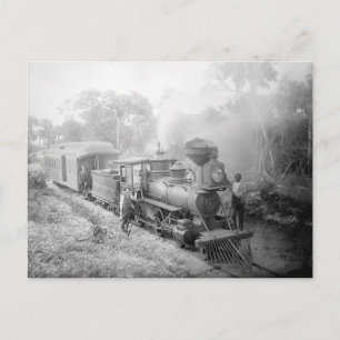 Jupiter and Lake Worth Railroad, 1897 Postcard