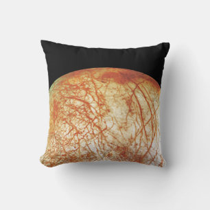 Jupiter's Moon Europa Cushion