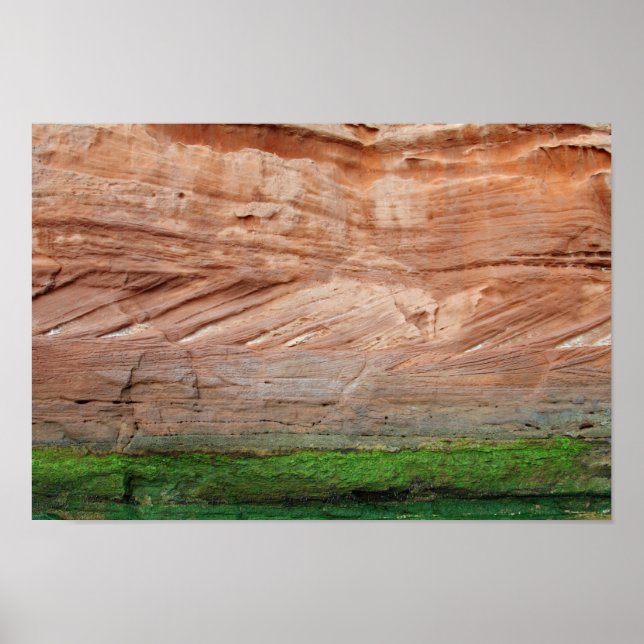 Jurassic Coast red rocks, Devon, England Poster (Front)