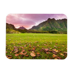 Jurassic Sunset Magnet