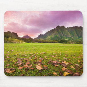 Jurassic Sunset Mouse Pad