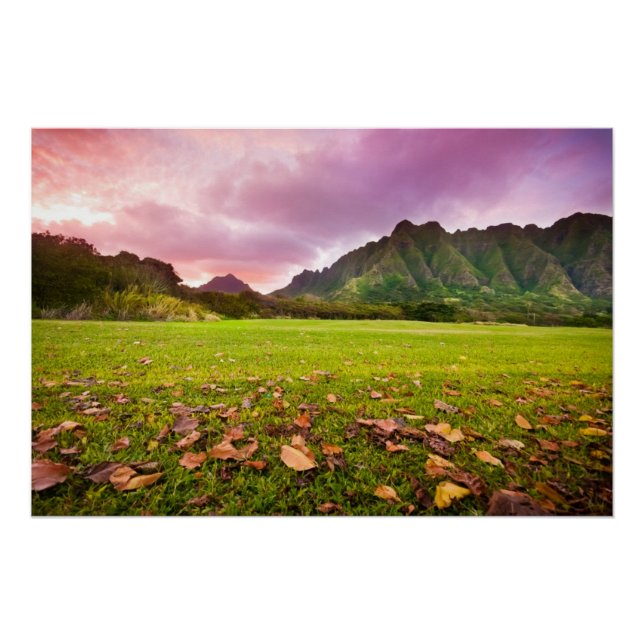 Jurassic Sunset Poster (Front)