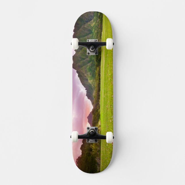Jurassic Sunset Skateboard (Front)